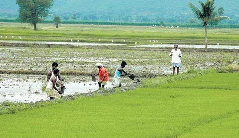 Representative Image (Pic: PTI)