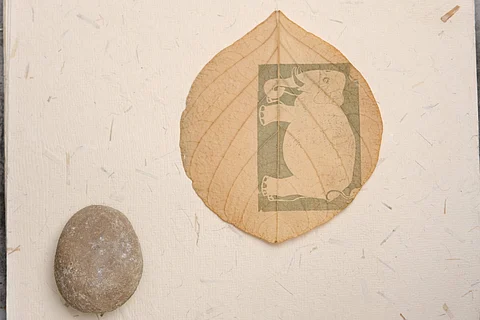 Chlorophyll leaf printing (Pic: Vinodh Baluchamy)
