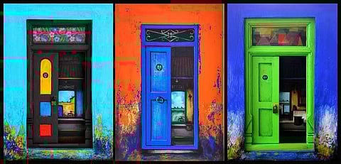 Some door made by KR Santhana Krishnan | Pic: KR Santhana Krishnan