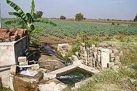 Representative Image | Pic: Wikimedia