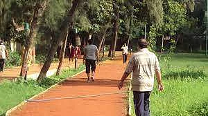 Representative Image | Wikimedia