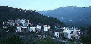 Shoolini University
