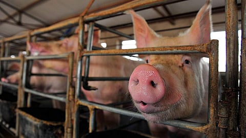 Image for representational purpose only (Pic: Getty Images)