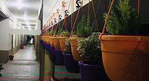 All in a row | (Pic: Parna Tech)