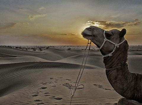 Representative Image | Pic: Flickr
