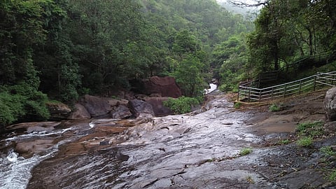 Representational image | Pic: Wikimedia Commons