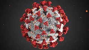 Researchers say they are not sure why certain people are more susceptible than others, limiting development of therapies | (Pic: PxHere)