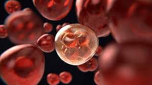 Representative Image | Pic: Express