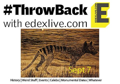 Tasmanian tiger| (Pic: Flickr)