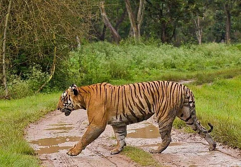 Picture for representational purpose only | (Pic: Express)
