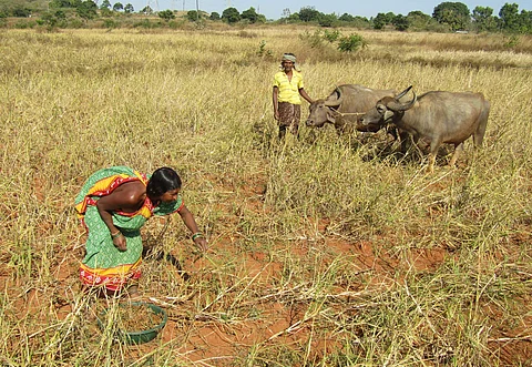 Image is for representational purpose only | (Pic: Express)