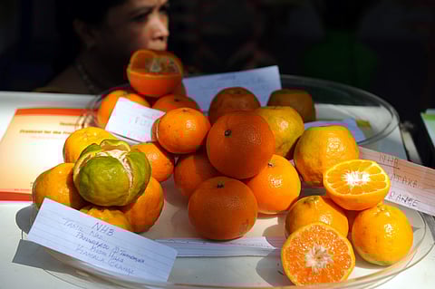 Picture for representational purposes only | (Pic: Express)