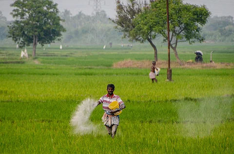 Picture for representational purposes only | (Pic: Express)