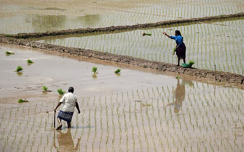 Picture for representational purposes only | (Pic: Express)