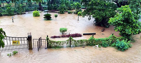 Picture for representational purposes only | (Pic: Express)