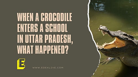 This is what transpired | (Pic: EdexLive)
