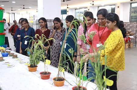 Visitors at the stall of Millets by IHRD Kanthallur at Town Hall | Express Photo by Nishad T Ummer