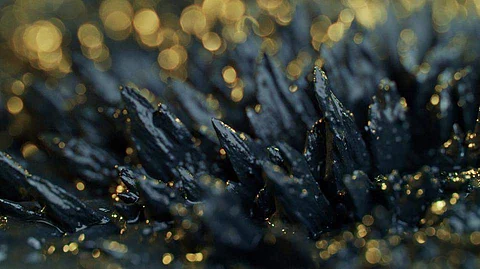 Crucial find: Light Rare Earth Elements discovered in Andhra Pradesh by NGRI scientists