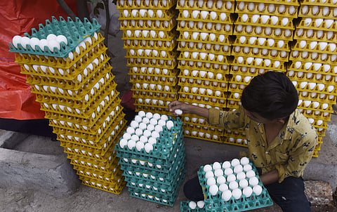 Picture for representational purpose only | (Pic: Express)
