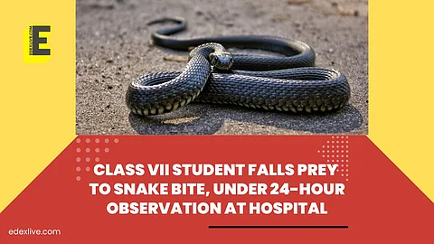 Class VII student falls prey to snake bite, under 24-hour observation at hospital | (Pic: EdexLive)