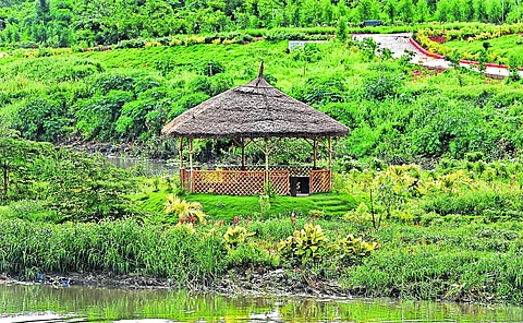 Picture for representational purpose only | (Pic: Express)