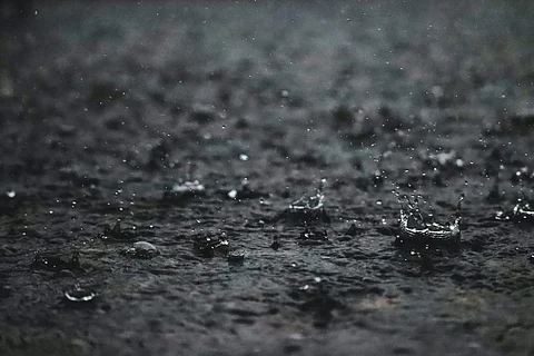 Picture Courtesy: Unsplash