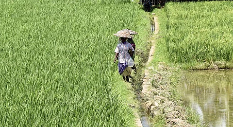 Picture for representational purpose only | (Pic: Express)