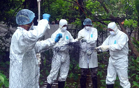 Kerala: Kozhikode DC declares additional two-day holiday for Nipah