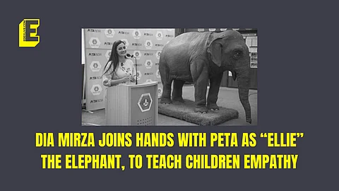 PETA tours Delhi schools with mechanical elephant to teach students empathy 