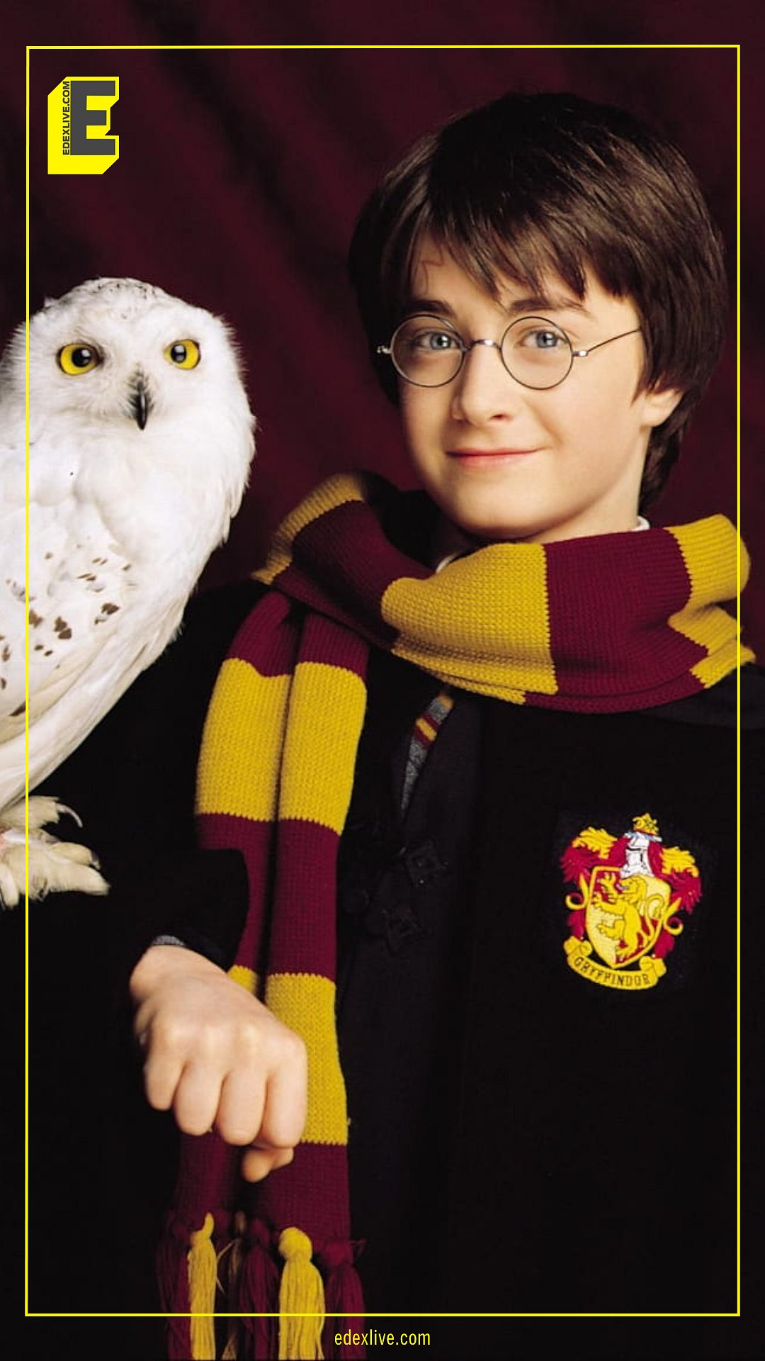 Harry Potter star Daniel Radcliffe wins first Tony Award, image size:1080x1920