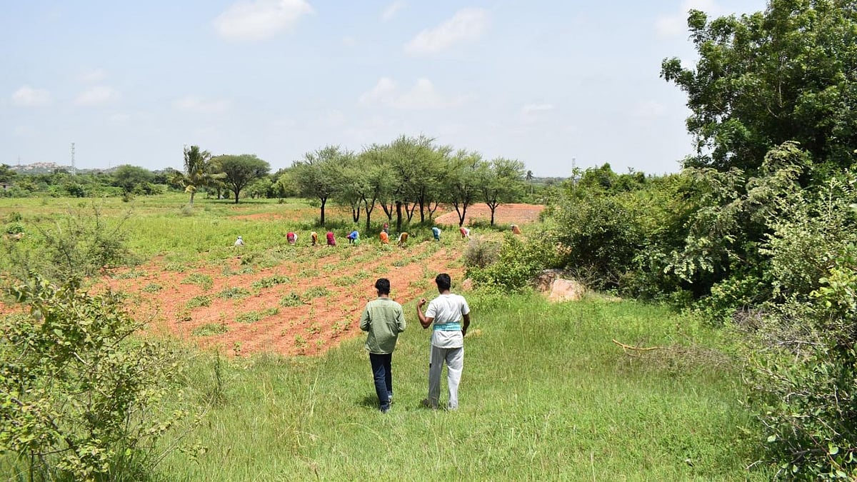 Telangana caste survey shows Reddys at 4.8% population, own 13.5% land