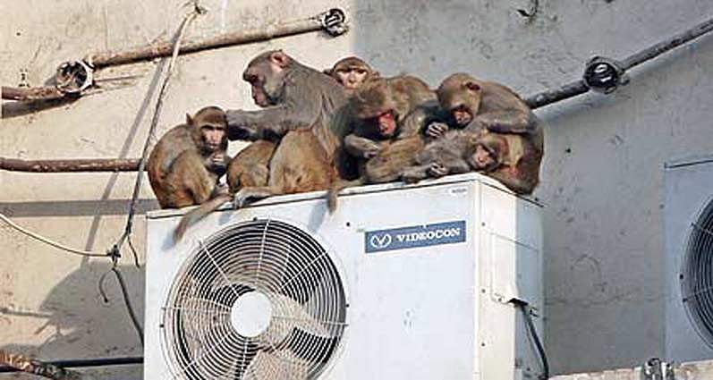 World Environment Day: Set your AC to 24ºC to save the world from a hot ...