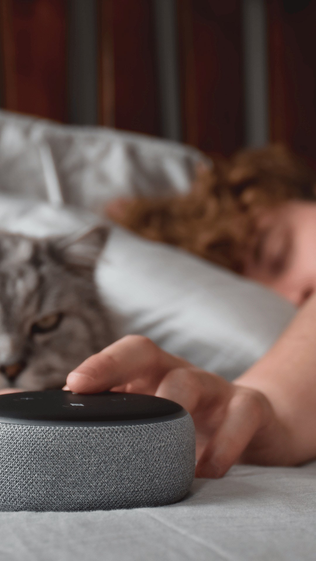 Why are experts flagging privacy concerns for voice devices like Alexa ...